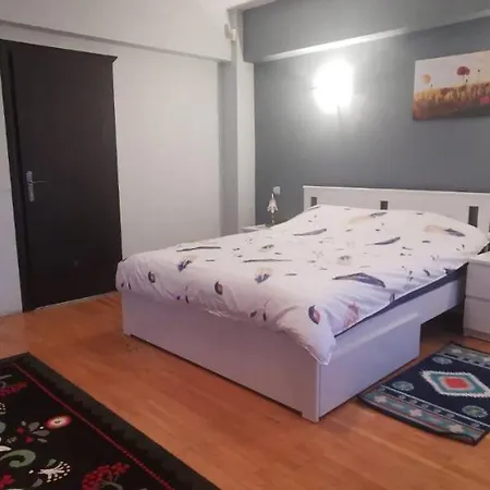 Andreea's Apartments-old Town * Boekarest
