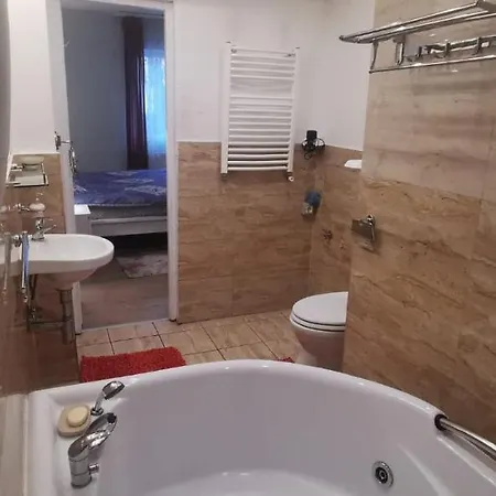Andreea's Apartments-old Town